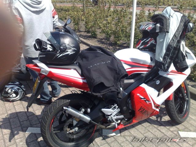 Photo 1308294