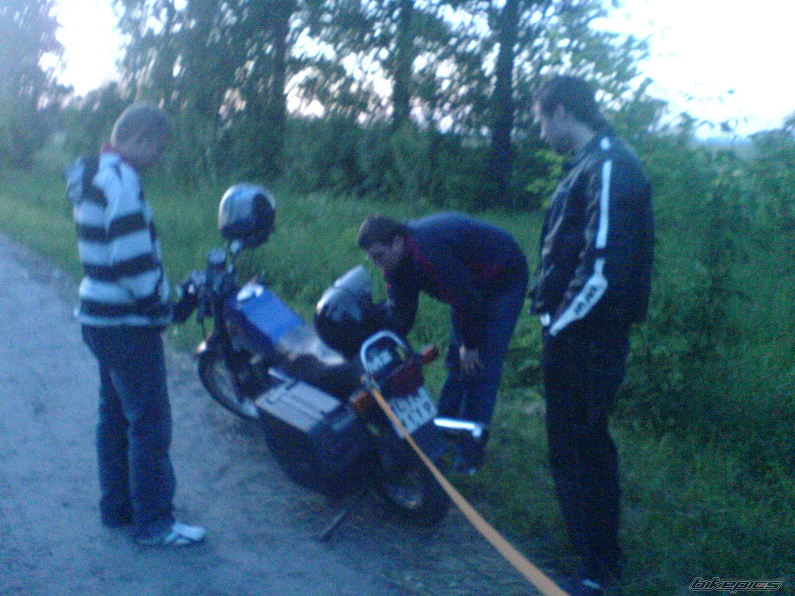 Photo 1308304