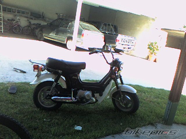 Bike Photo 1308356