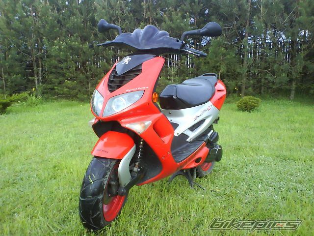 Photo 1308374