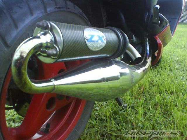 Photo 1308375