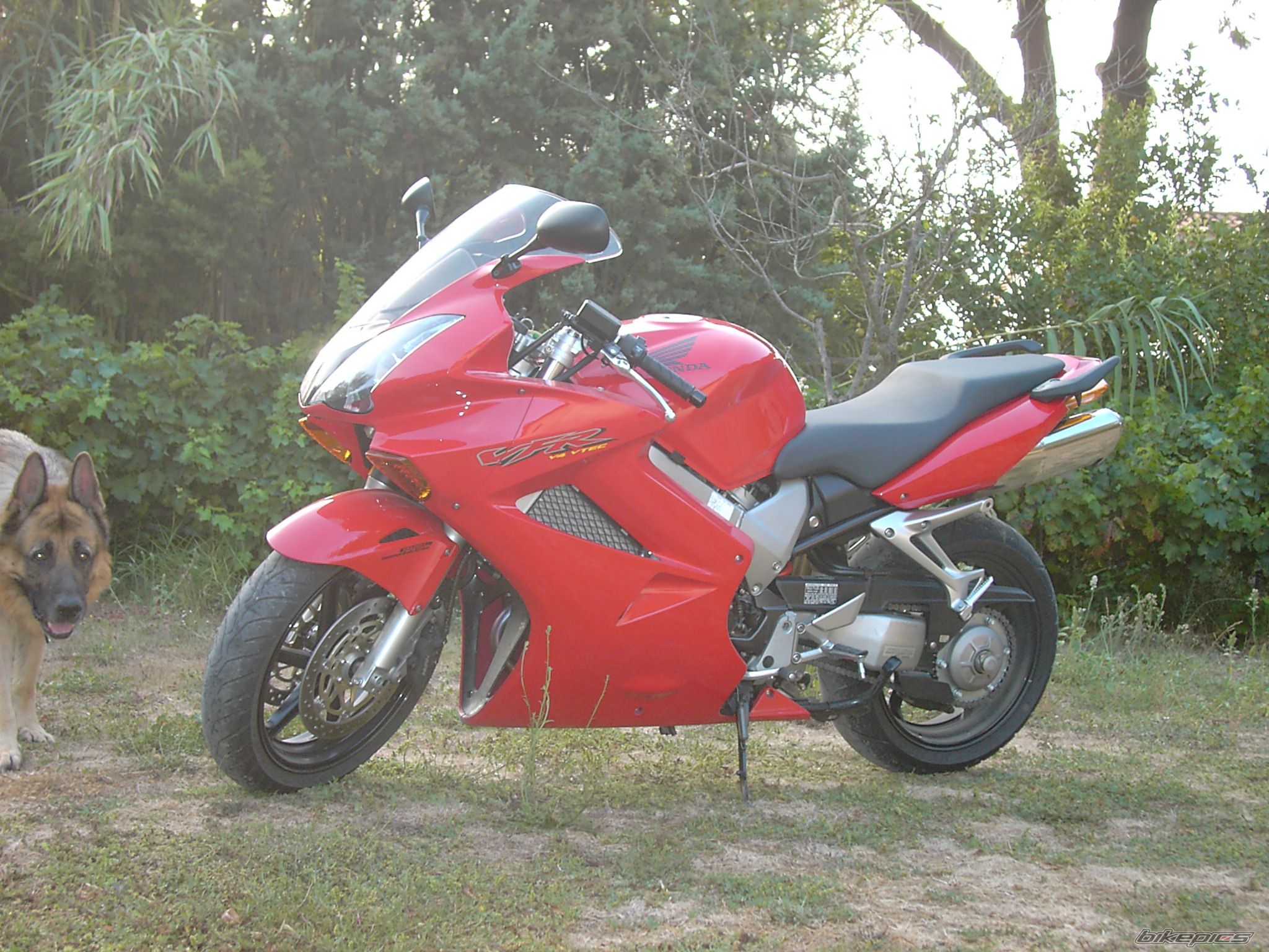 Bike Photo 1308376