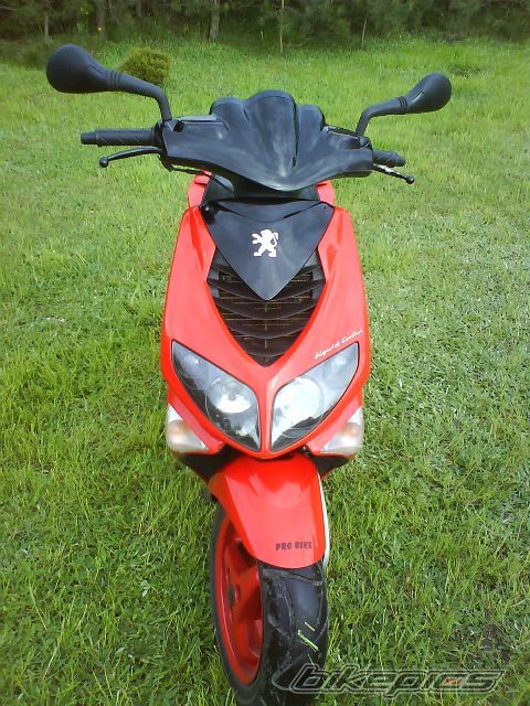 Photo 1308378