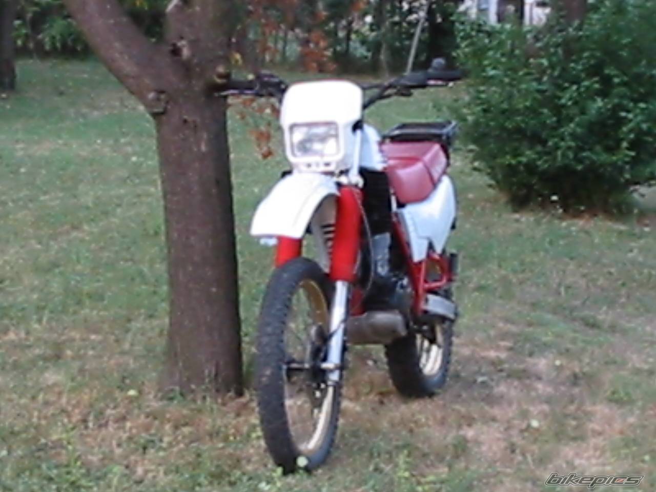 Bike Photo 130842