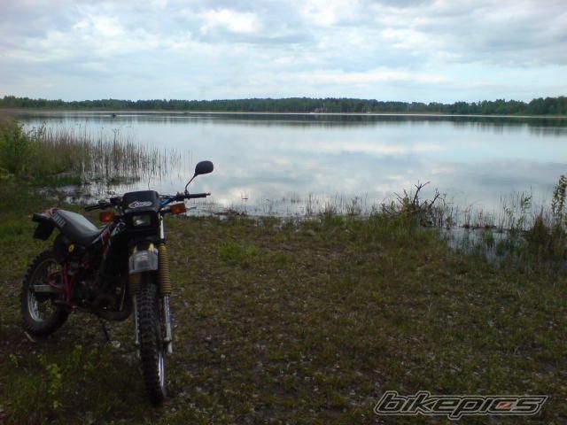 Photo 1308442
