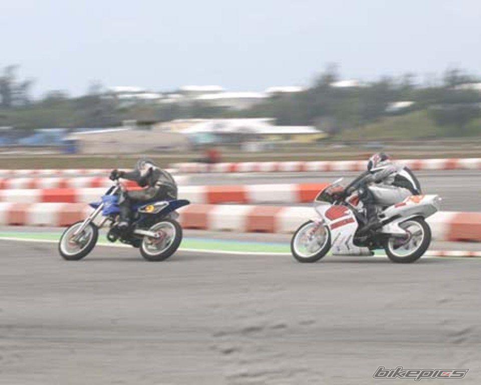 Photo 1308589