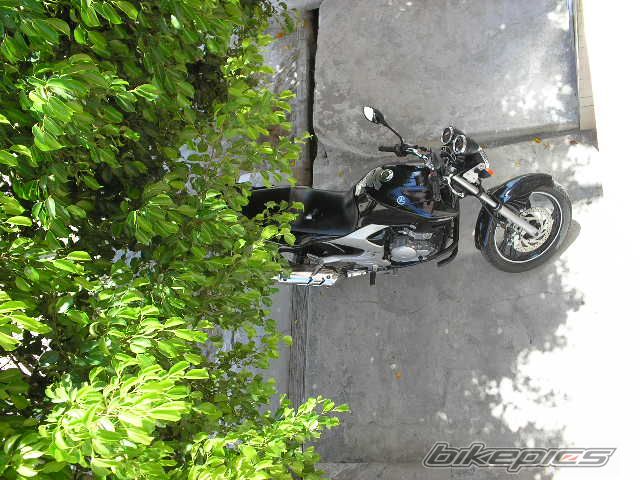 Photo 1308628