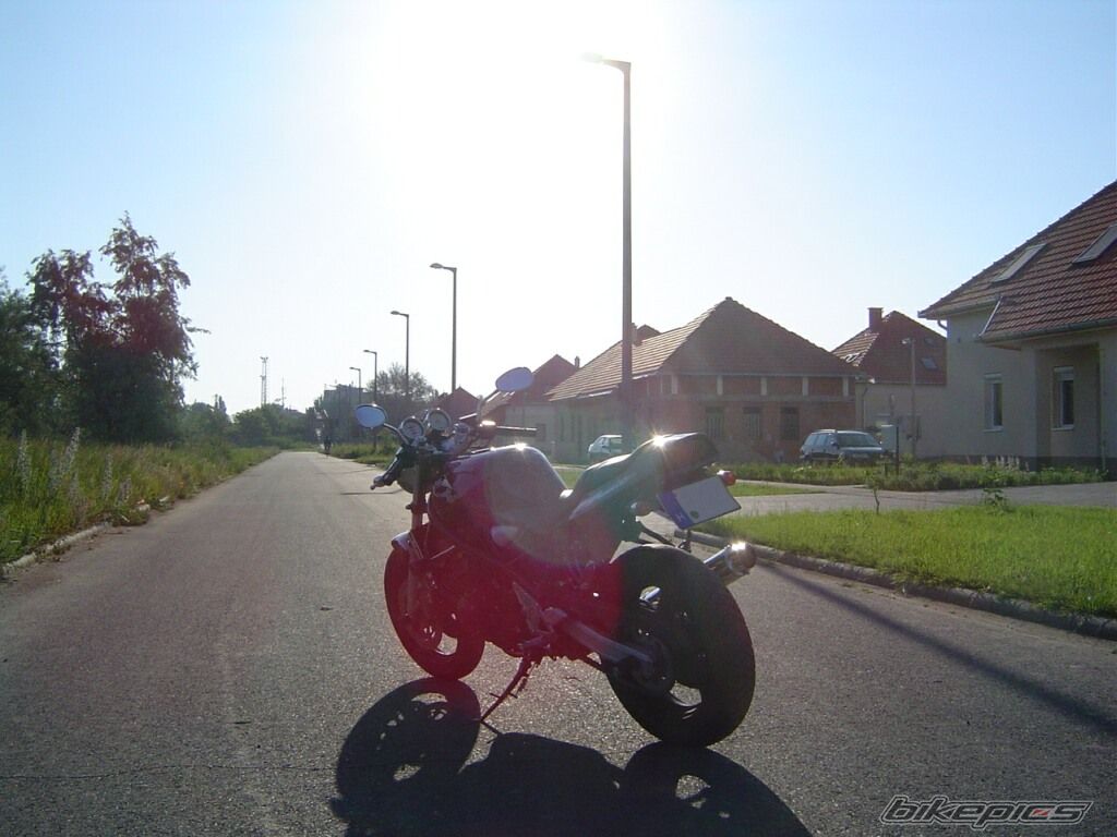 Photo 1308644
