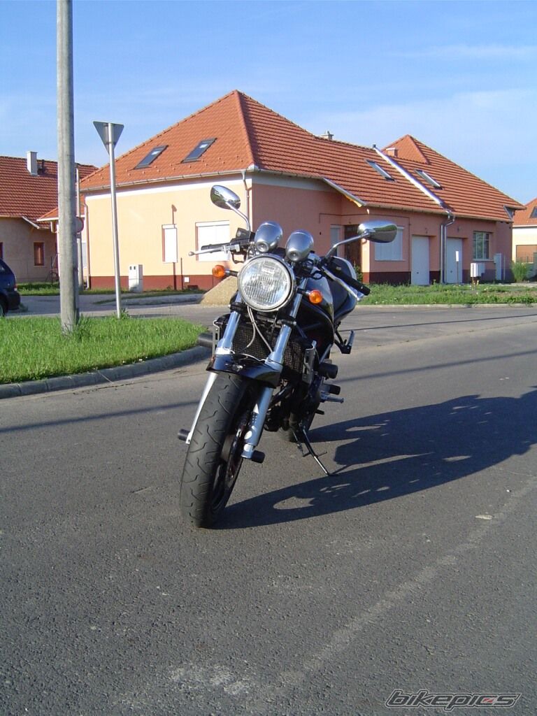 Photo 1308646
