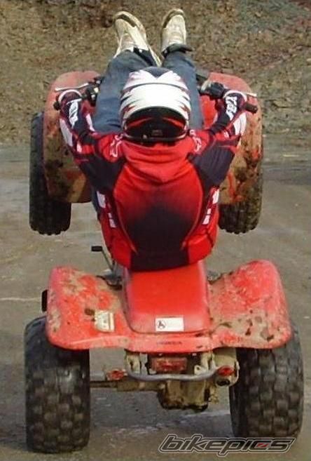 Photo 1308665