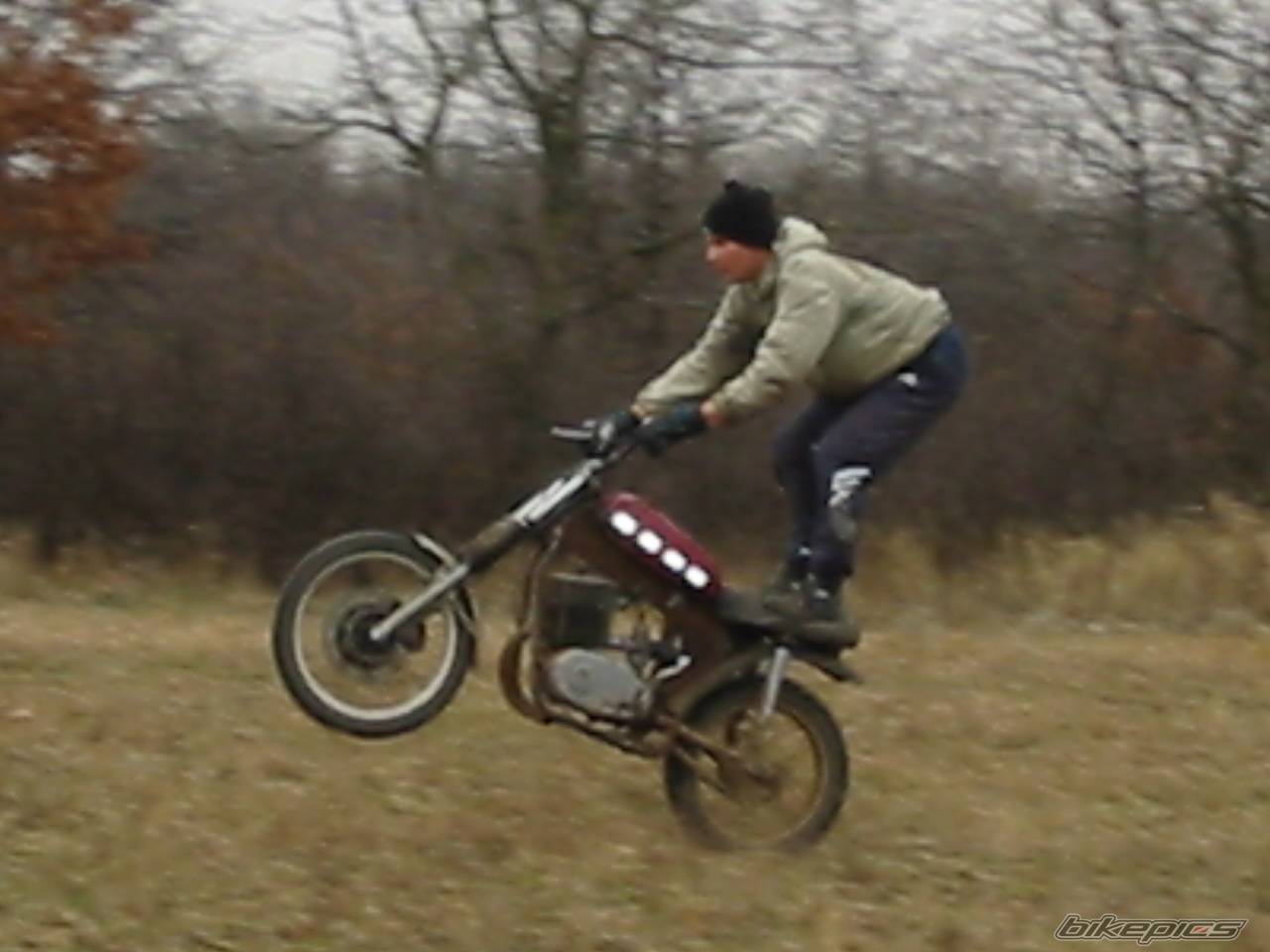 Photo 130867