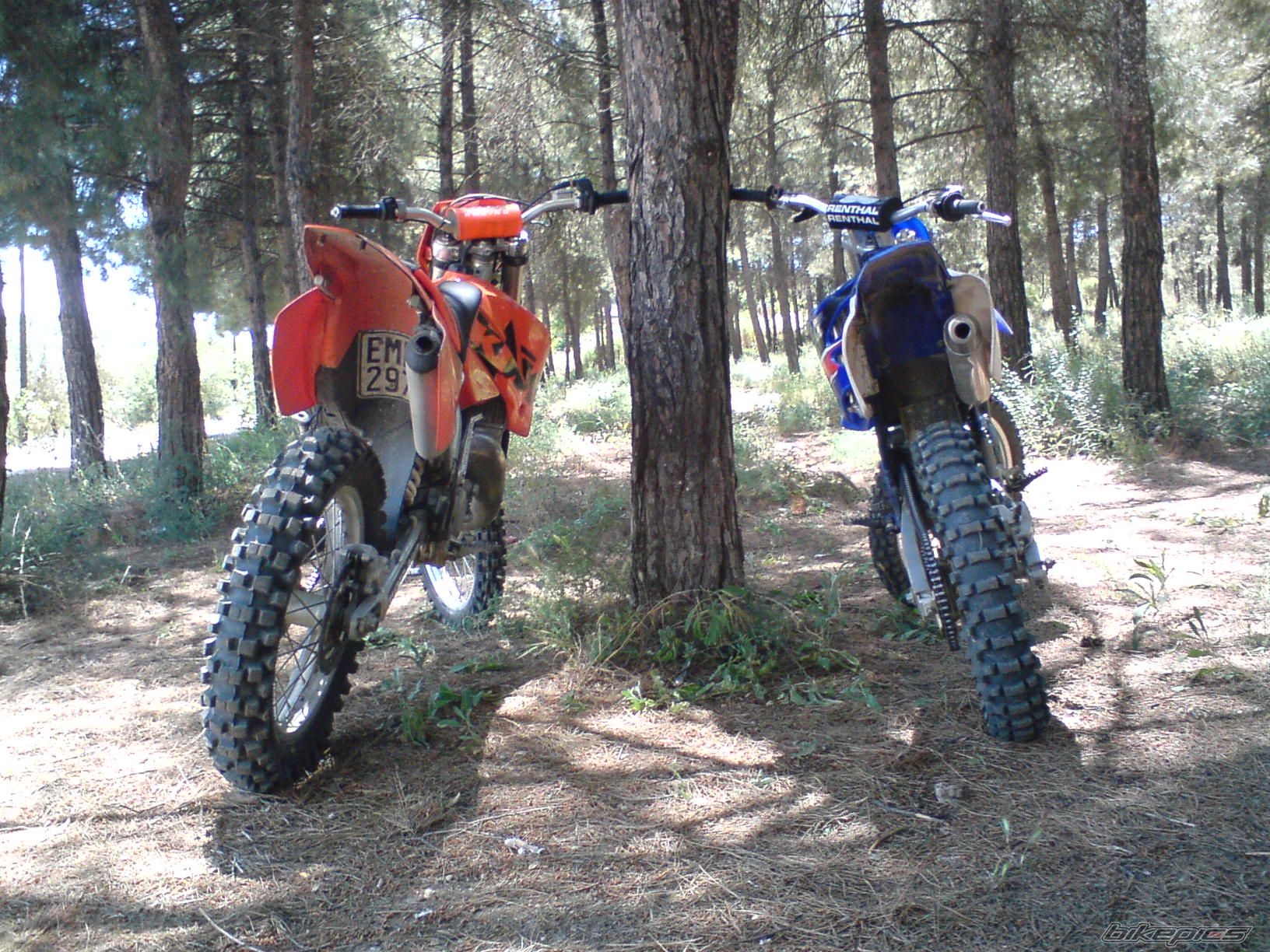Bike Photo 1308730