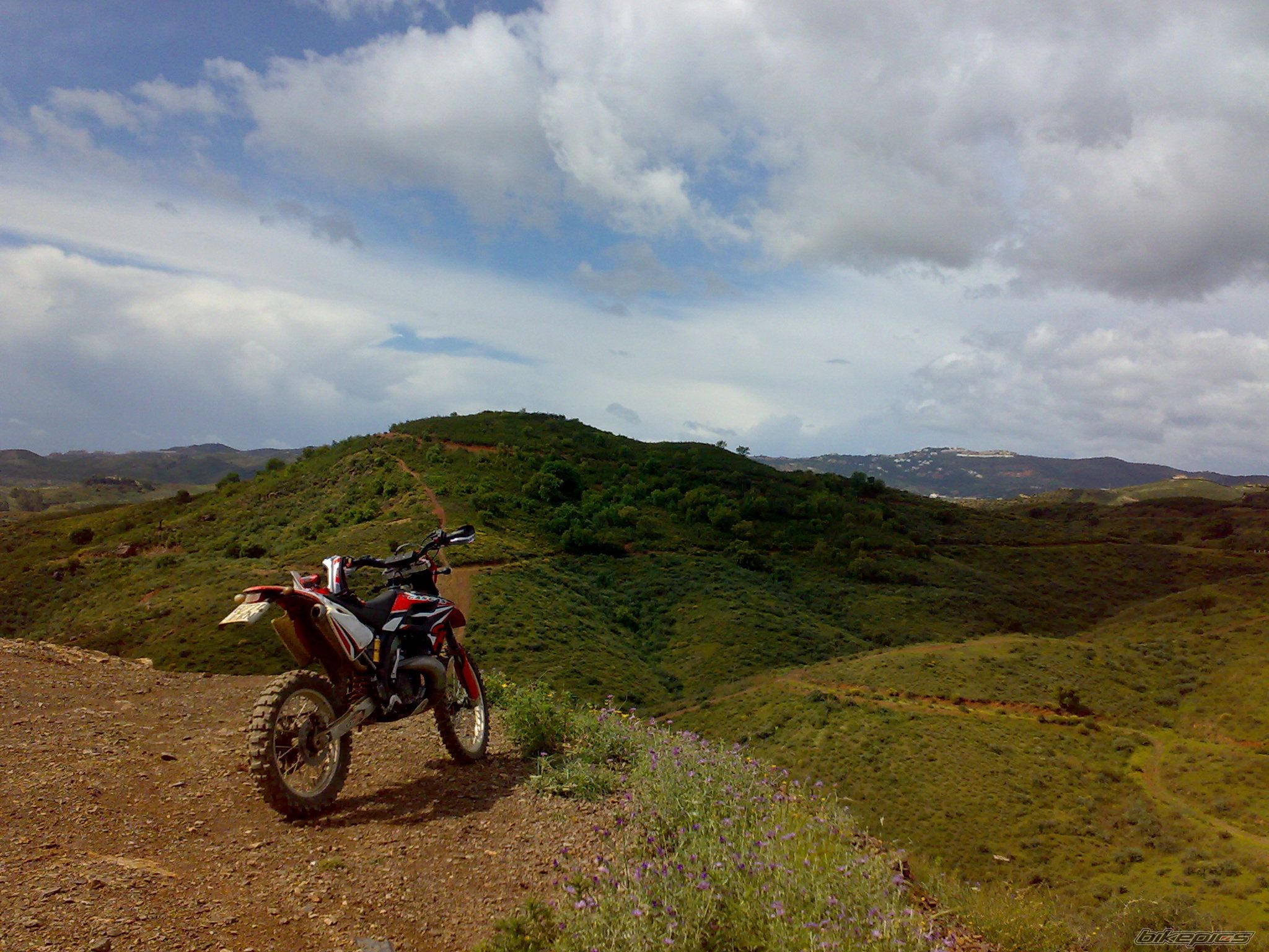 Bike Photo 1308828