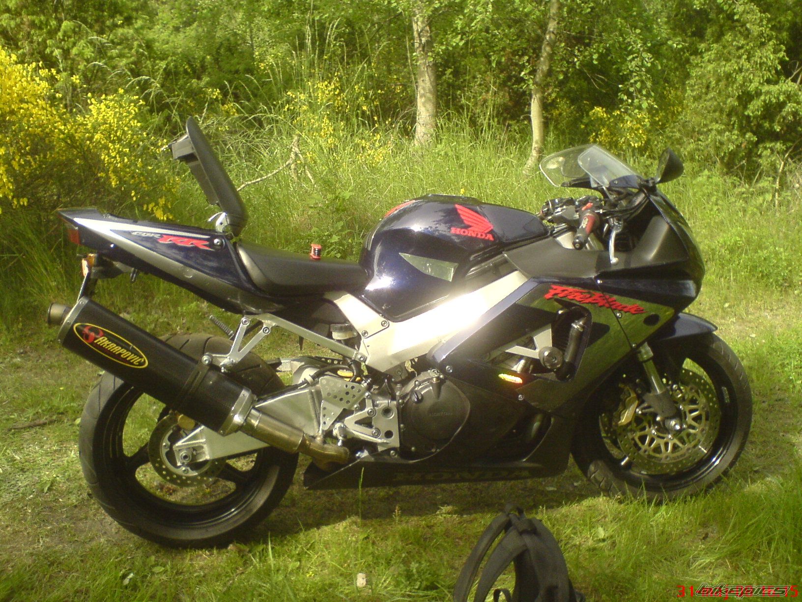 Photo 1308838
