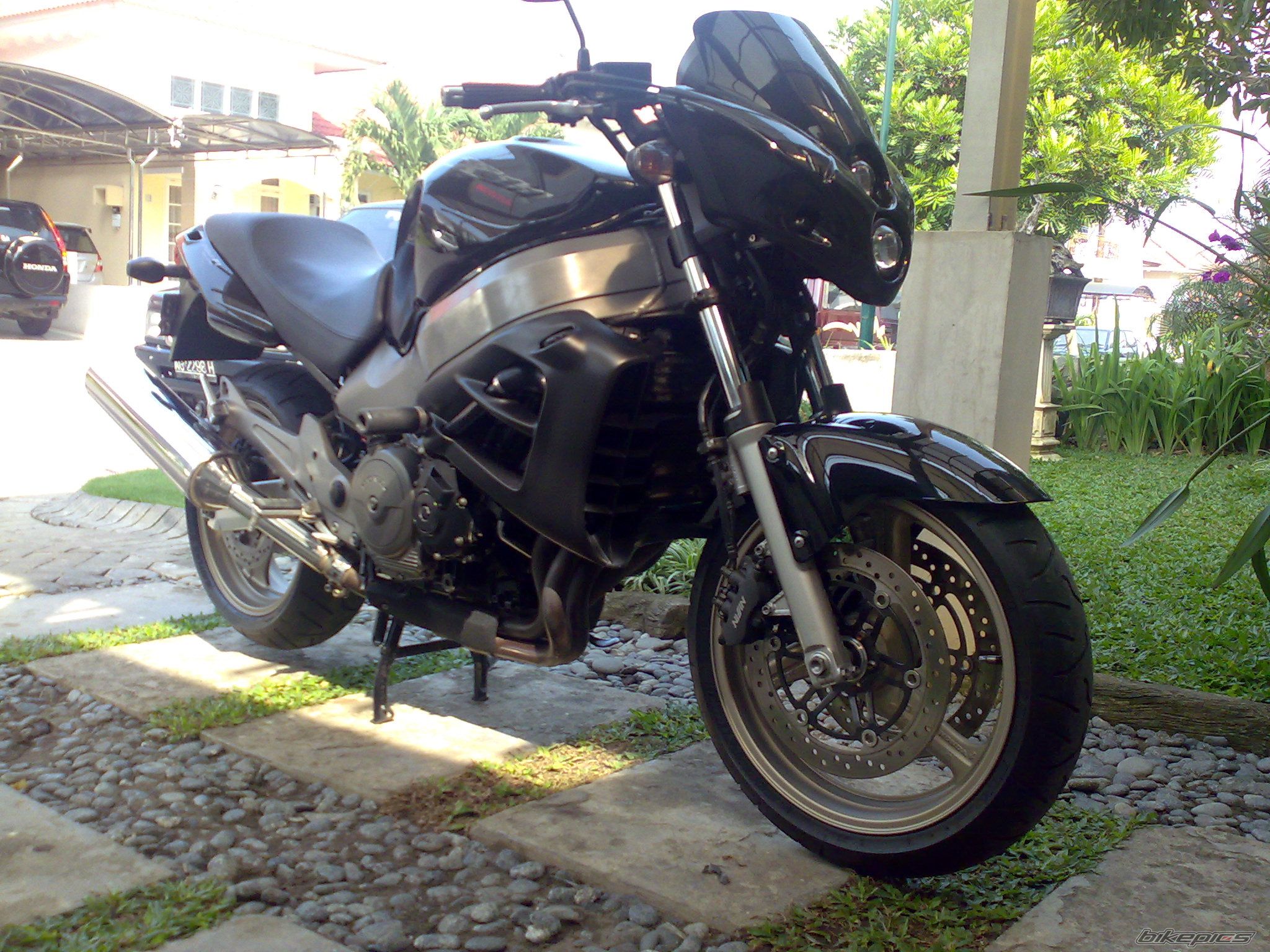 Photo 1308901