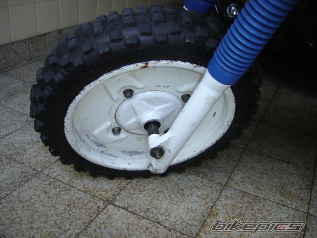 Photo 1308932