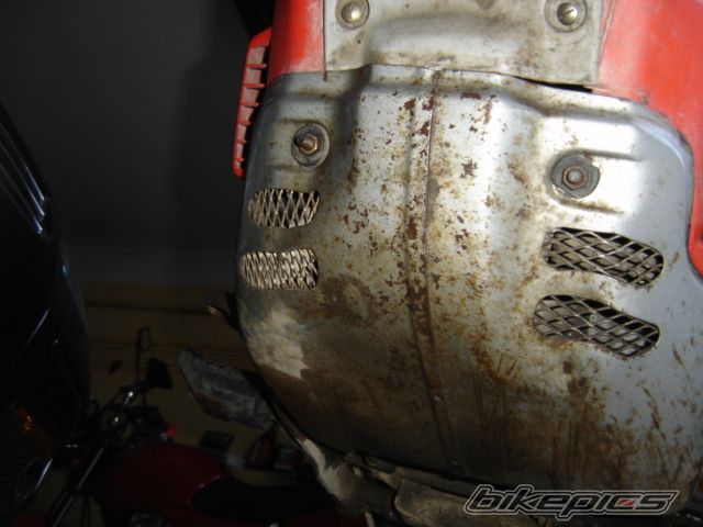 Photo 1308933