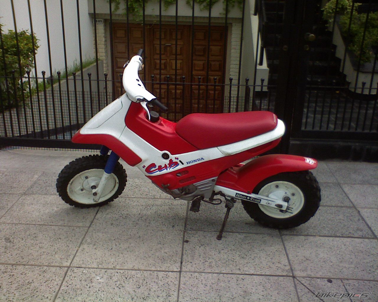 Photo 1308936