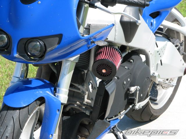 Photo 1309048
