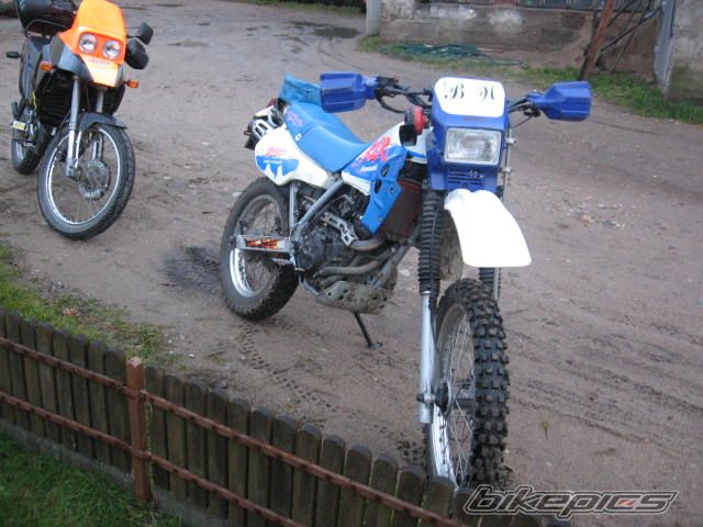 Bike Photo 1309076
