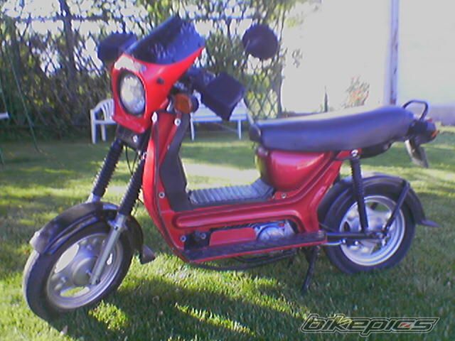 Bike Photo 1309082