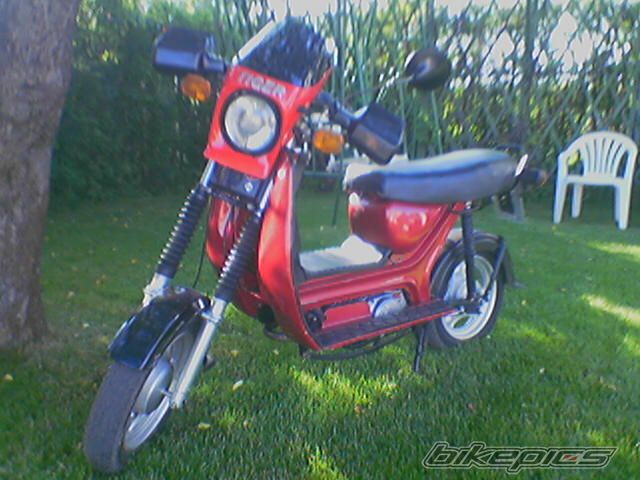 Bike Photo 1309083