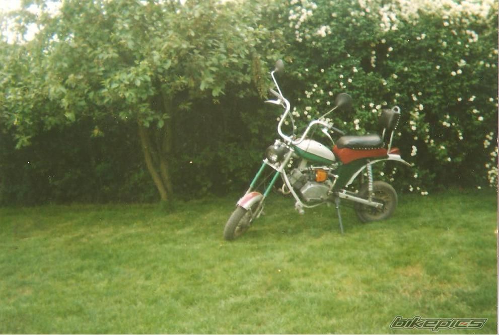 Photo 1309087