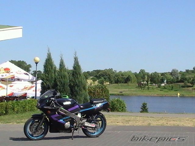 Photo 1309197