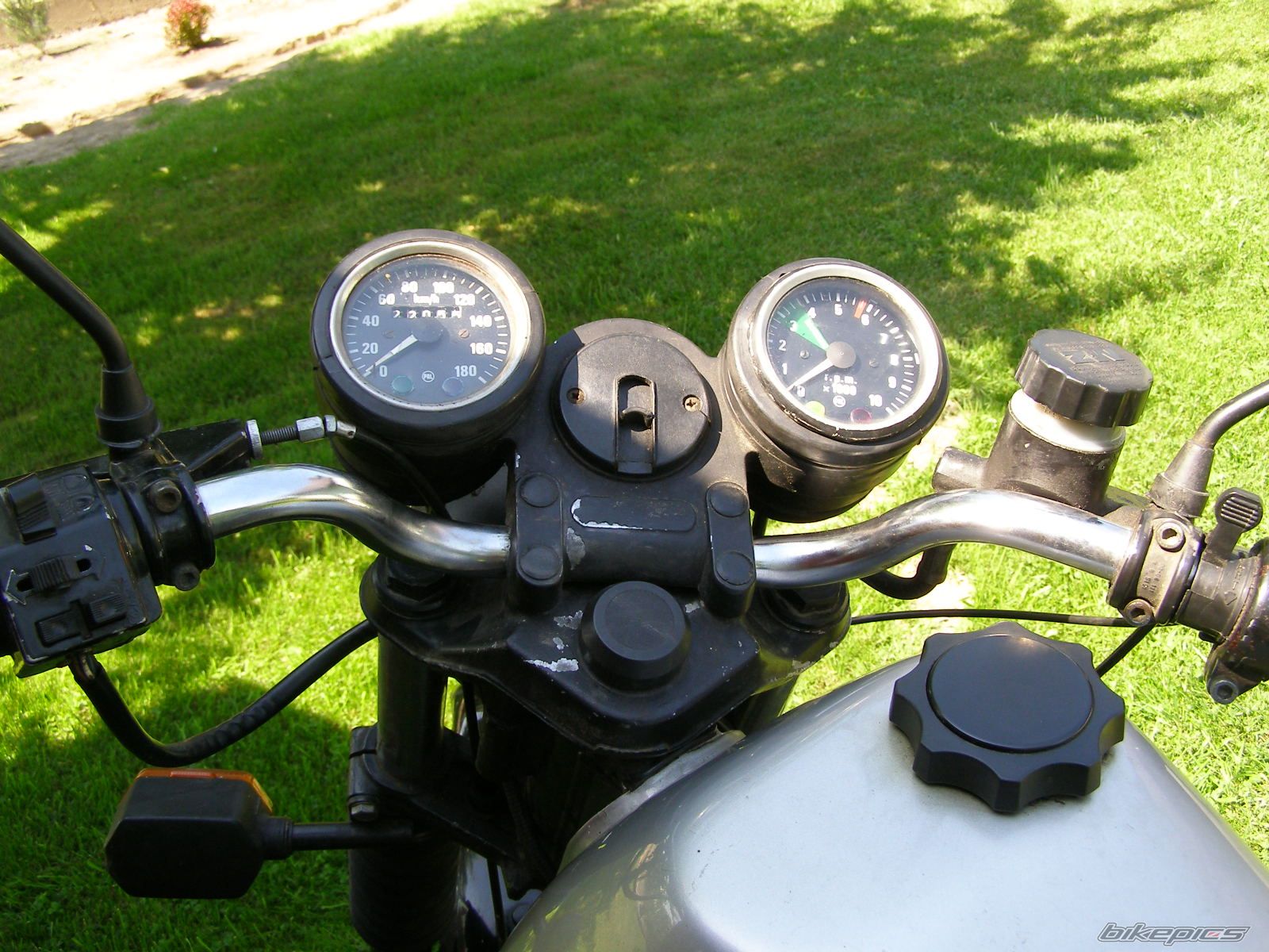 Photo 1309301
