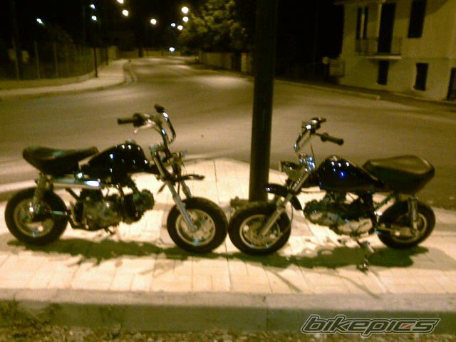 Photo 1309408