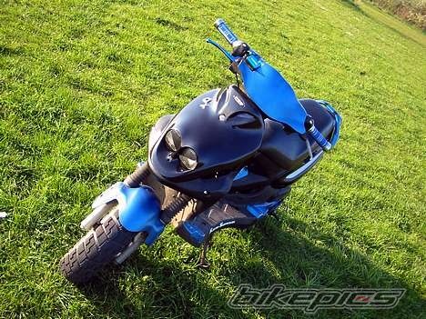 Photo 1309486