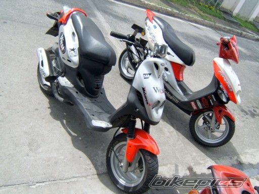 Photo 1309495