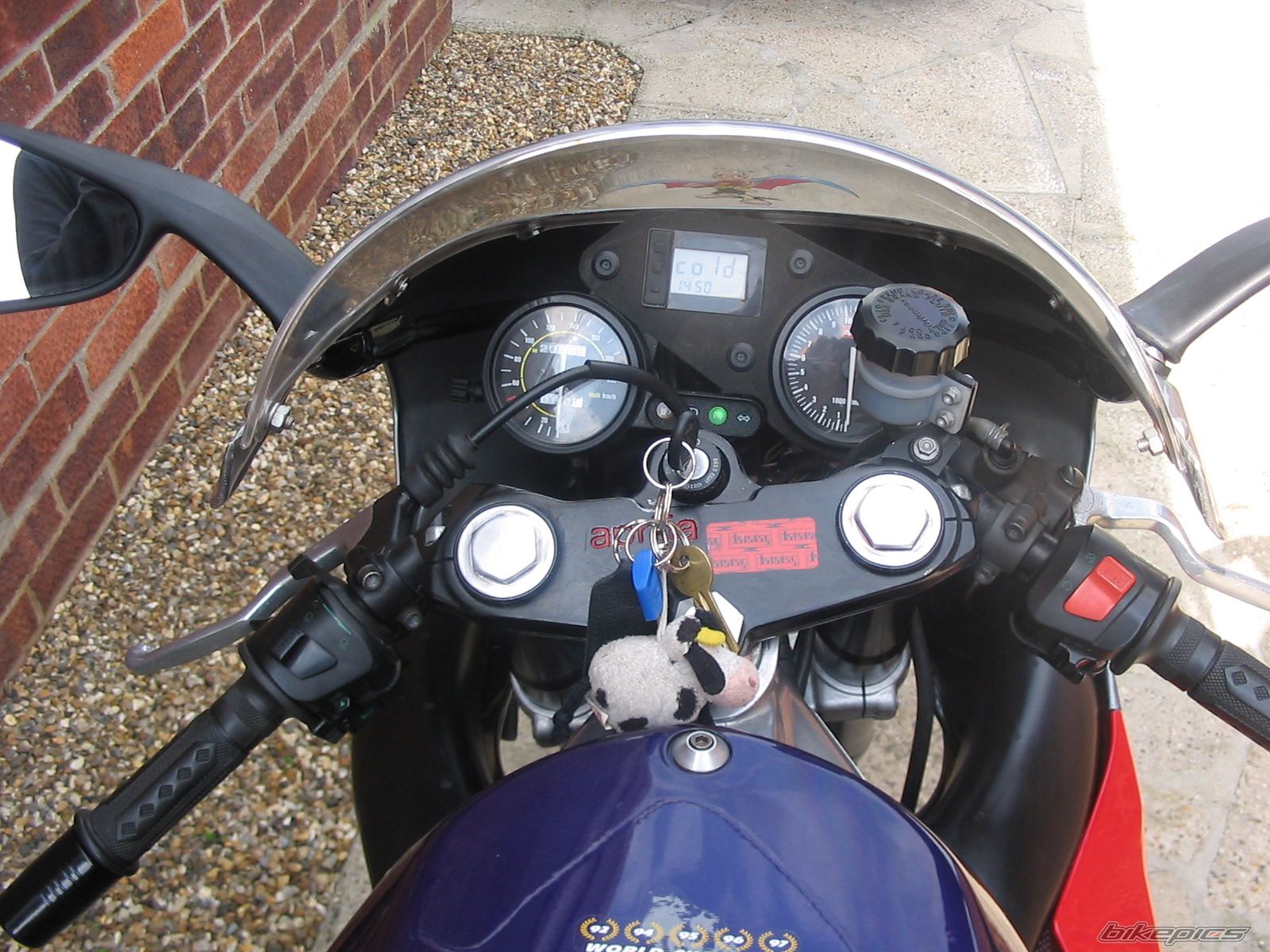 Photo 1309587