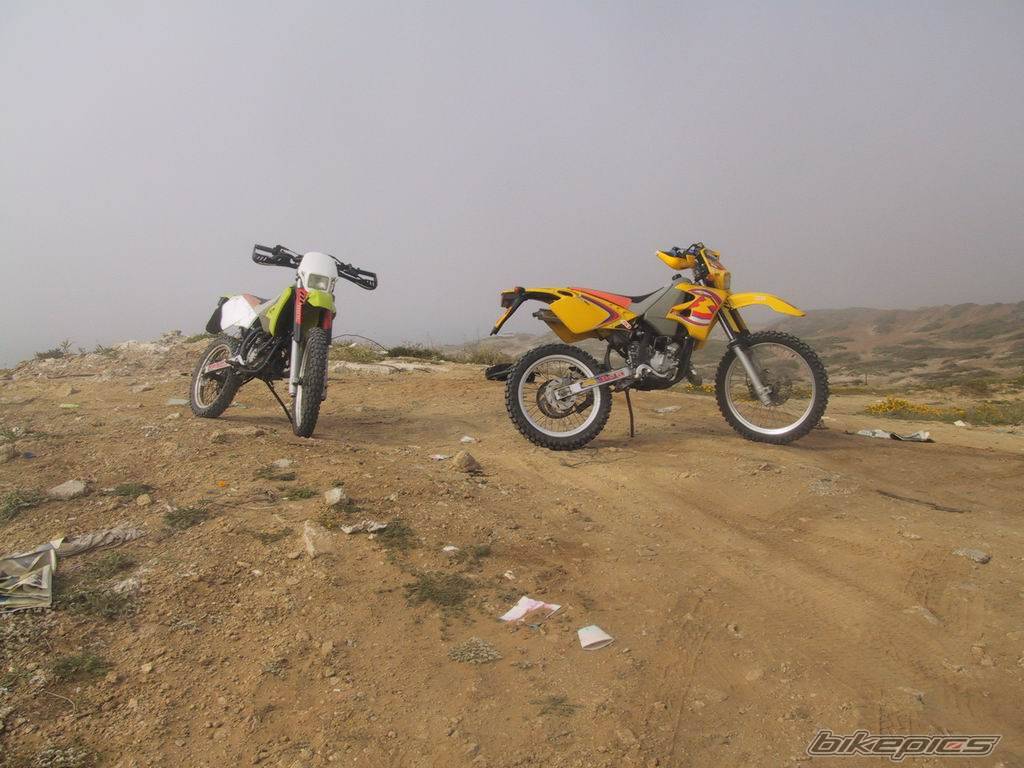 Photo 130966