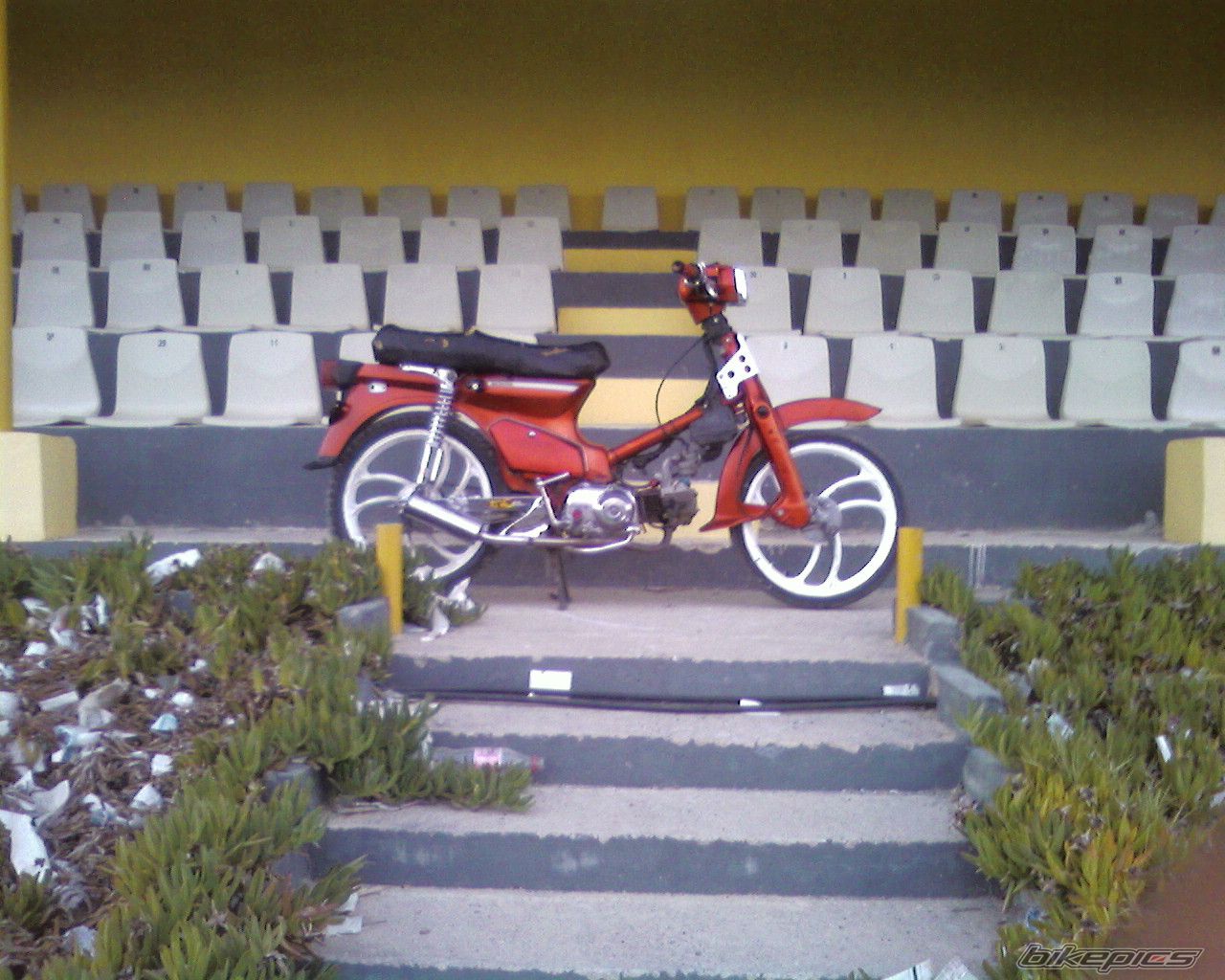 Bike Photo 1309661