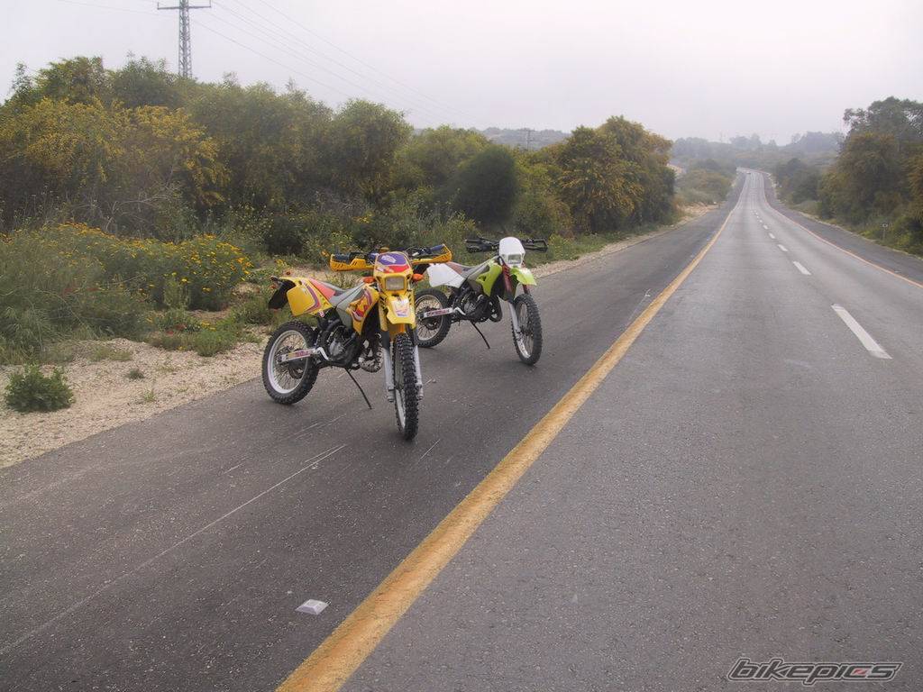 Photo 130973