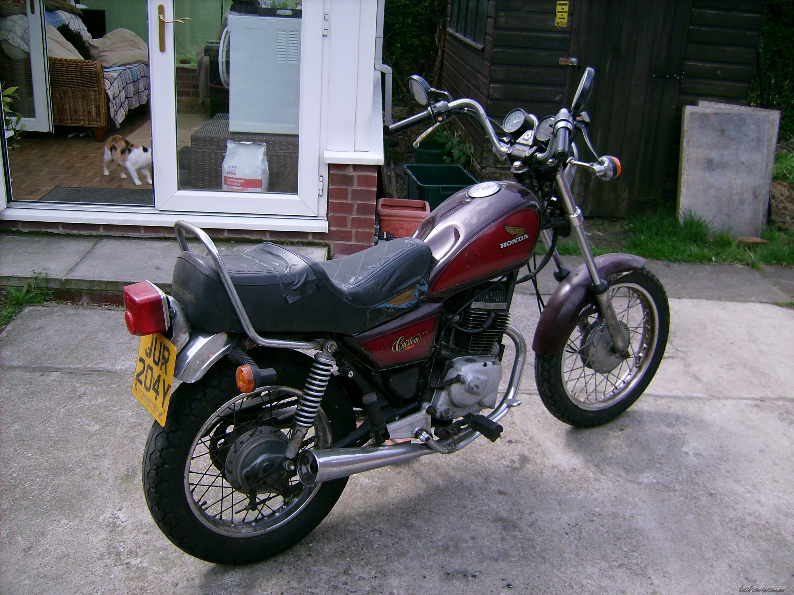 Photo 1309851