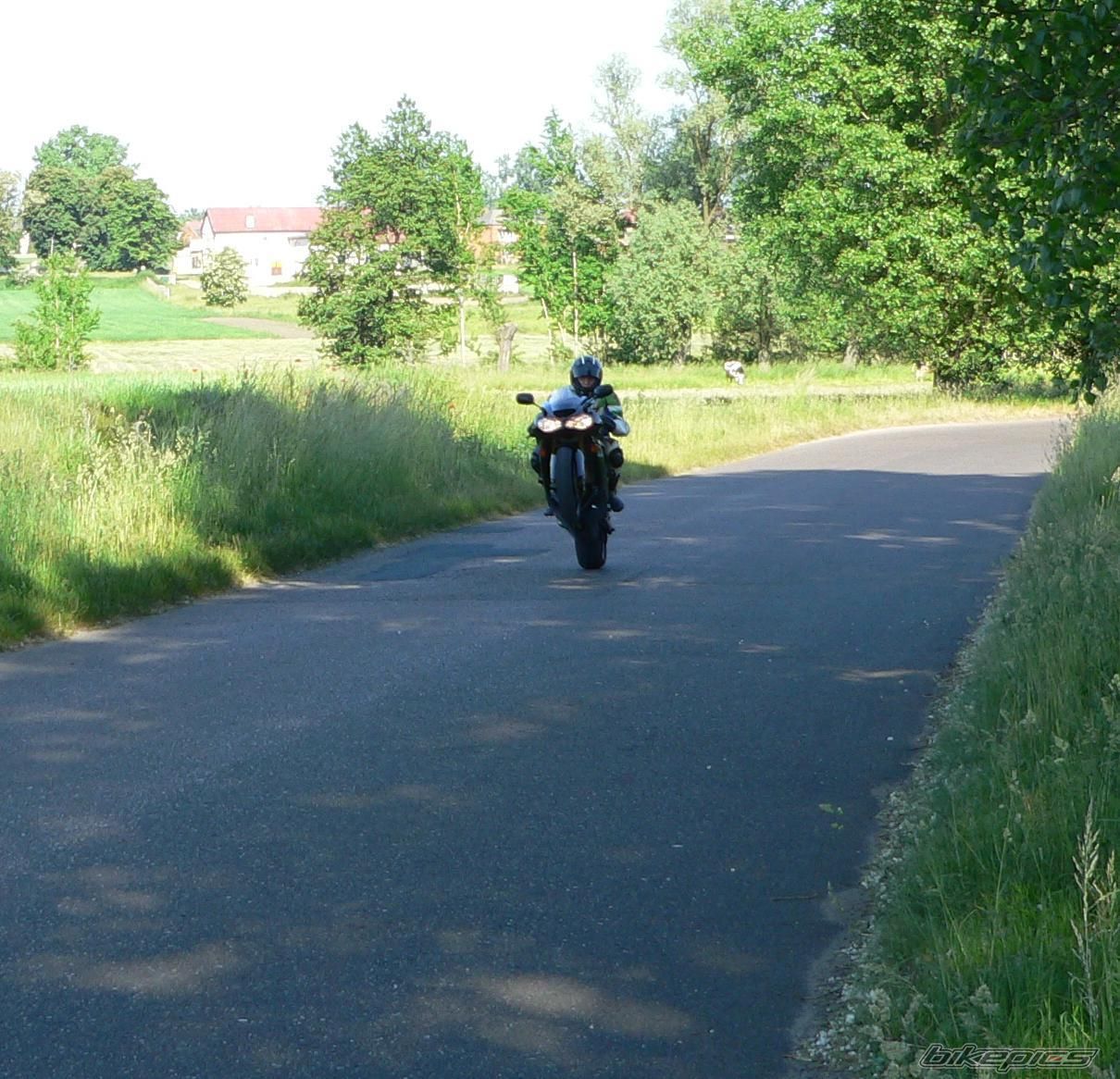 Photo 1309852