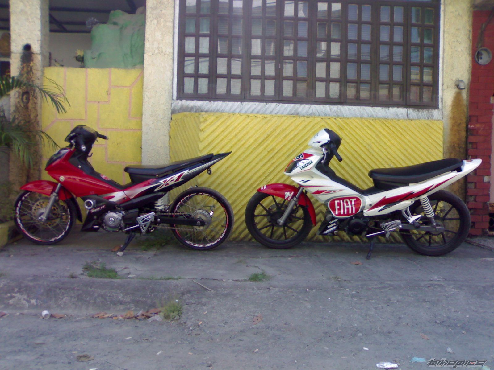 Photo 1309878