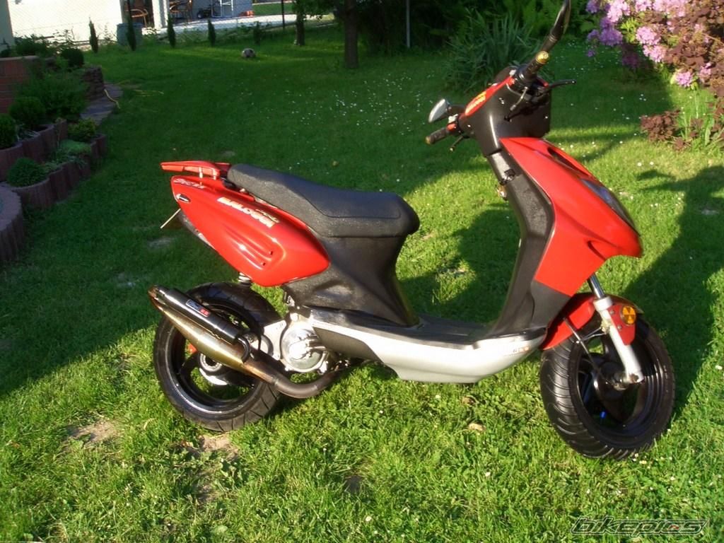 Bike Photo 1309886