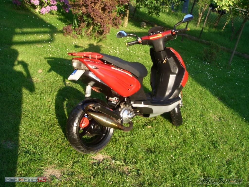 Photo 1309890