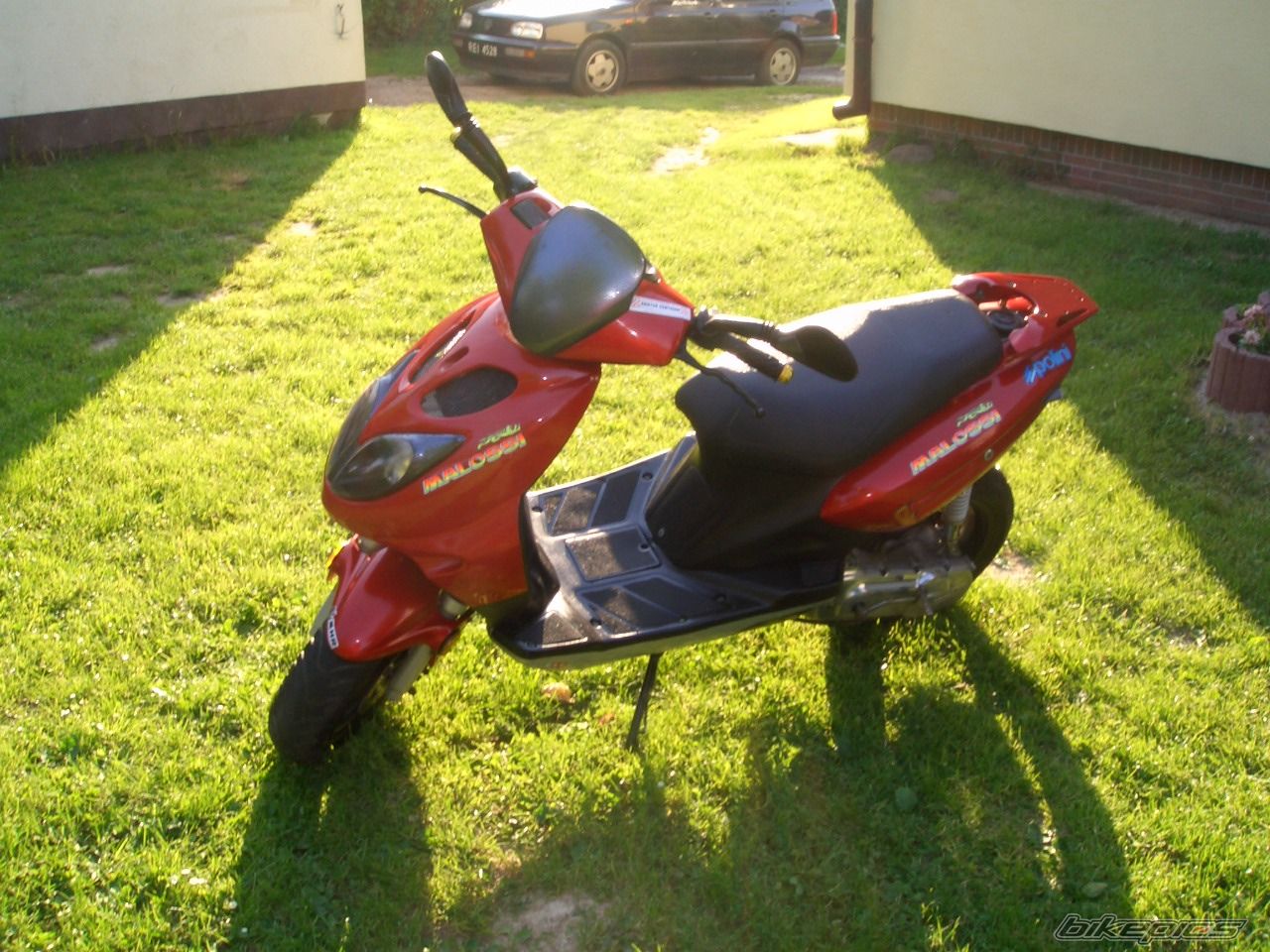 Photo 1309896