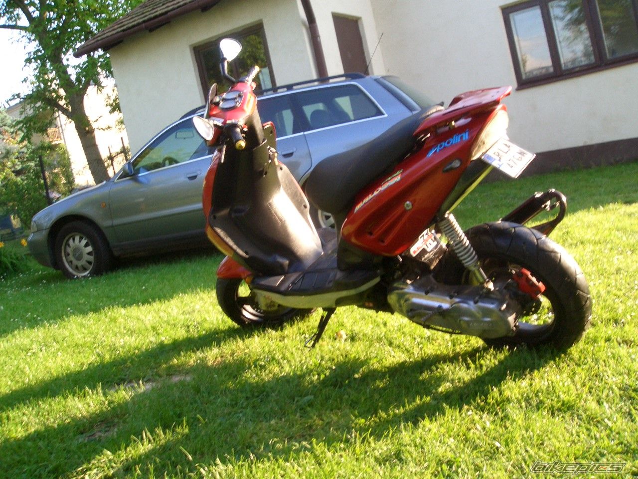 Photo 1309898