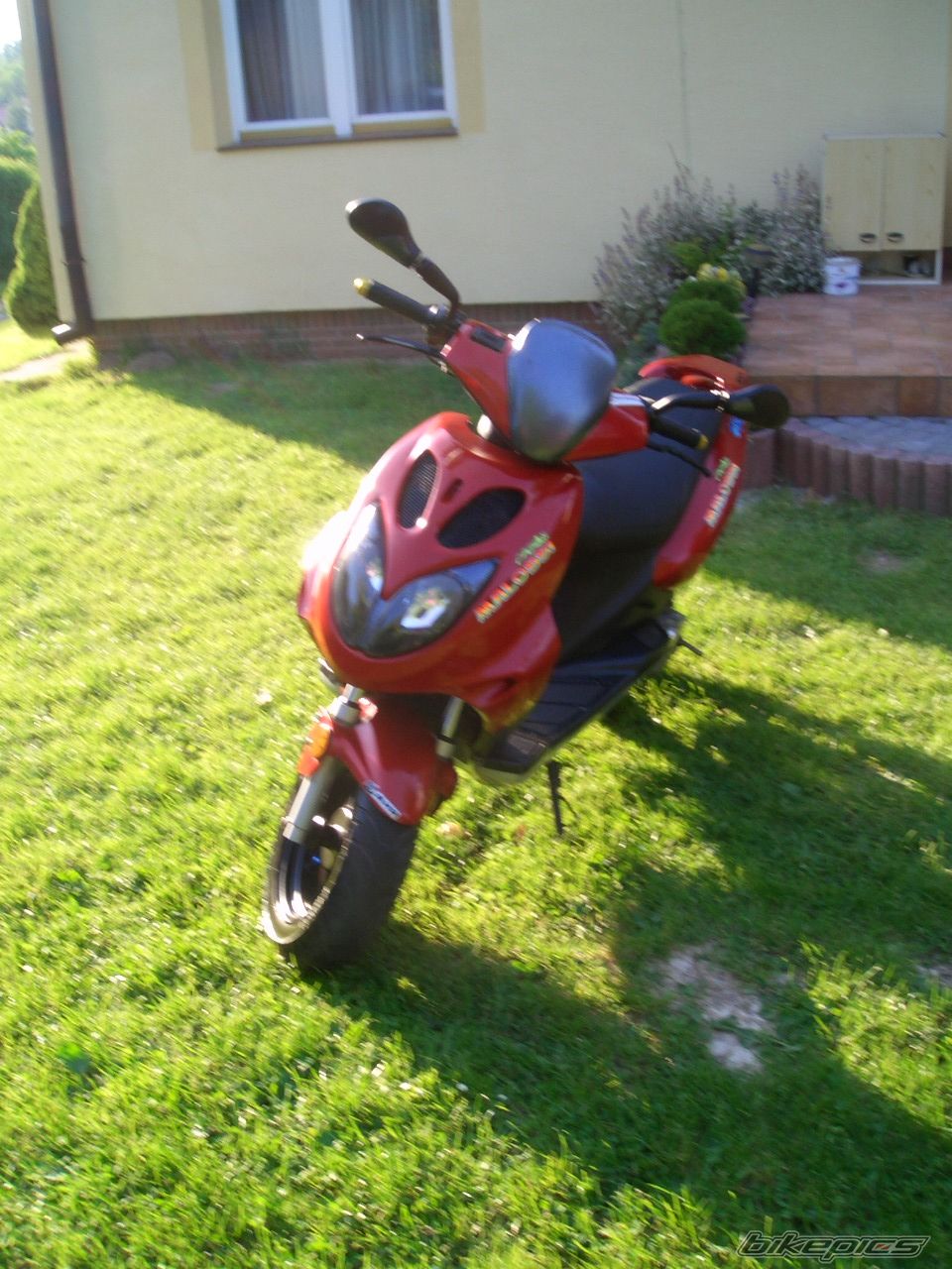 Photo 1309901