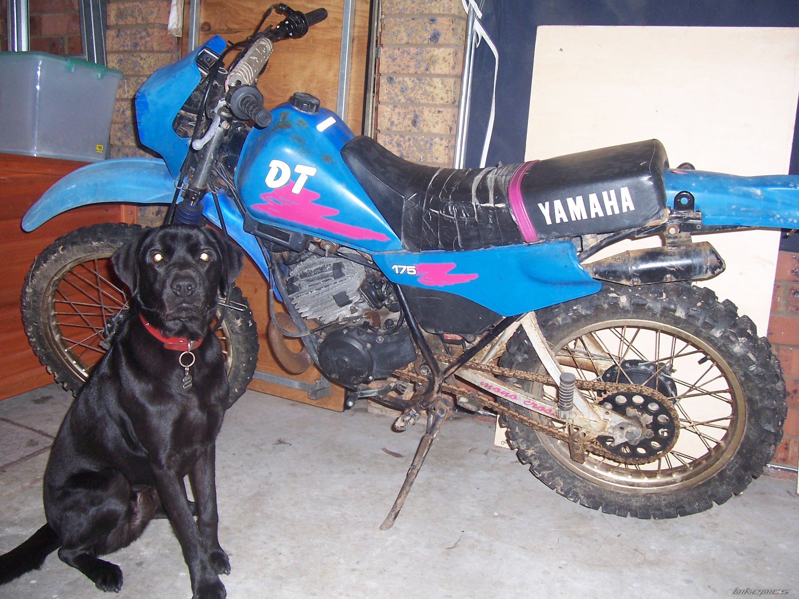 Bike Photo 1310169
