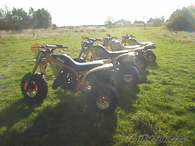 Photo 13102