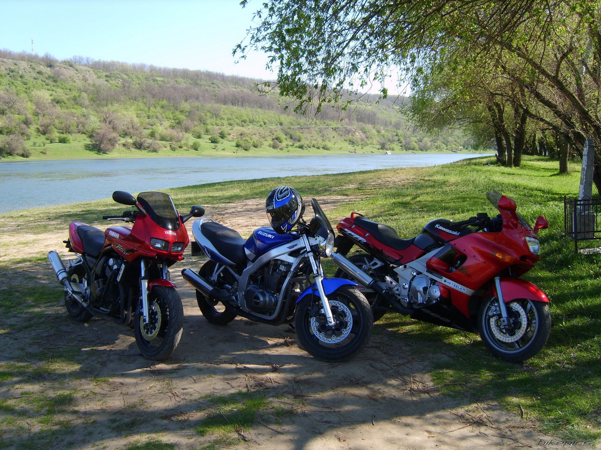 Photo 1310239