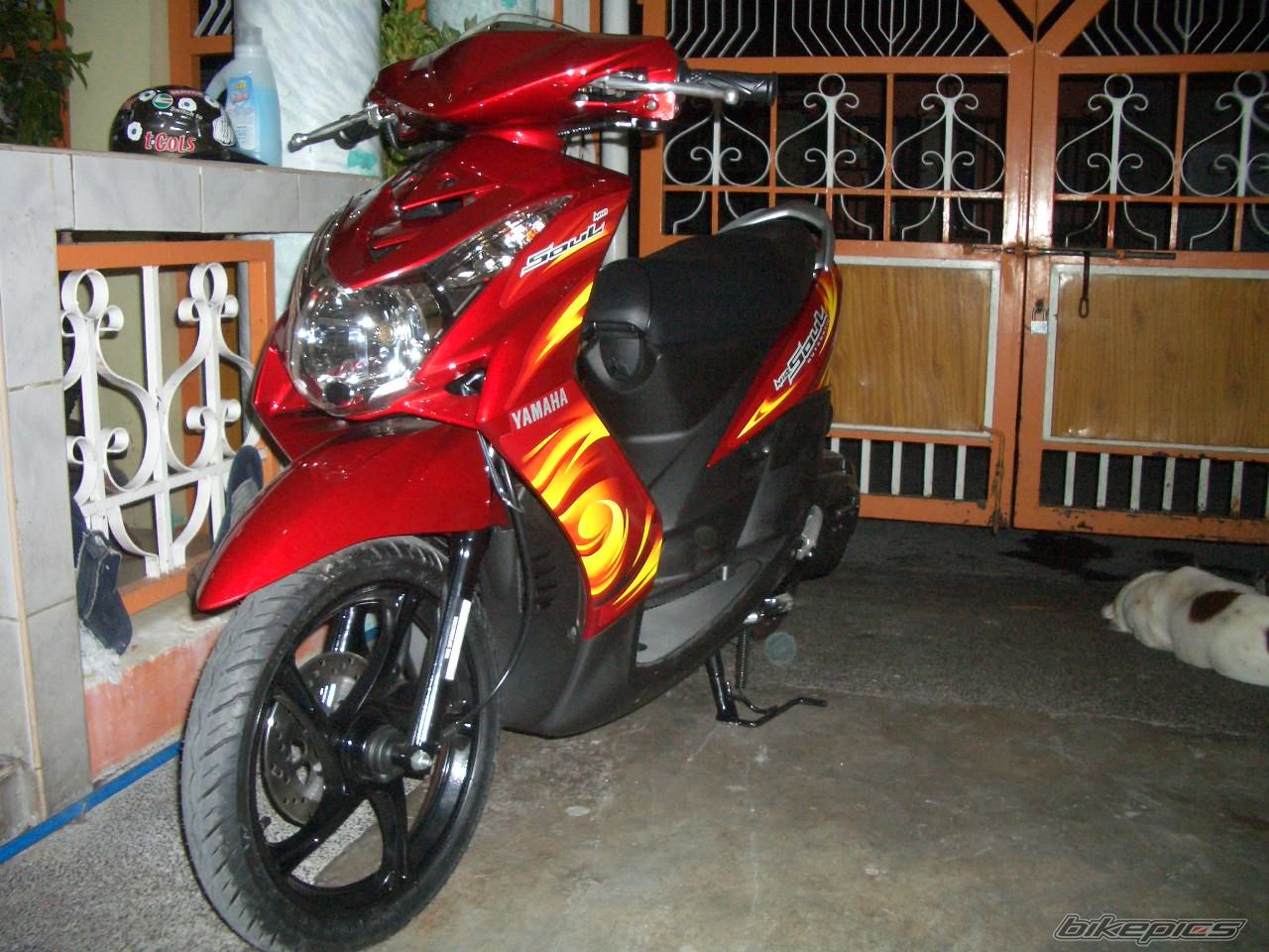 Photo 1310240