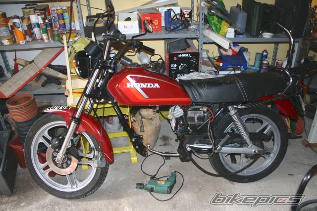 Photo 1310264