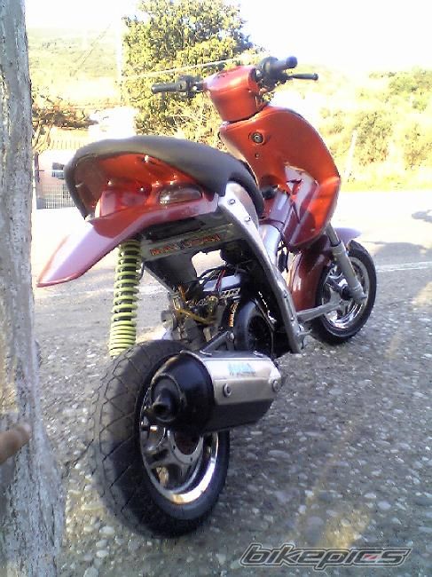 Photo 1310295